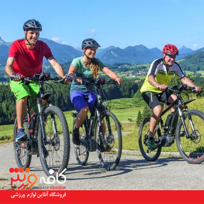 لوازم جانبی دوچرخه برقی