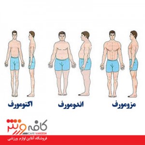 متابولیسم و ساختن عضله