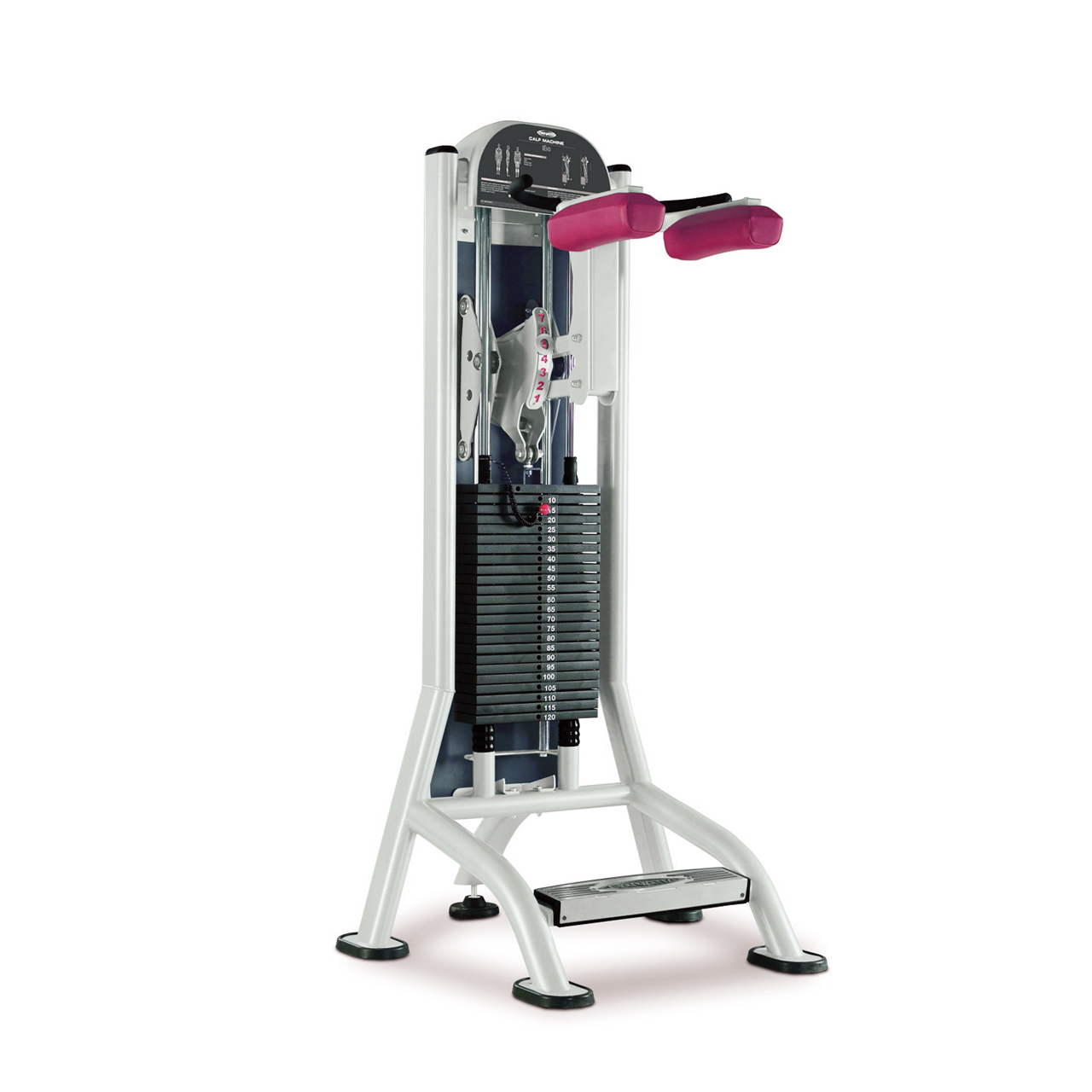 دستگاه ساق پا ایستاده پاناتا FitEvo 1FE089